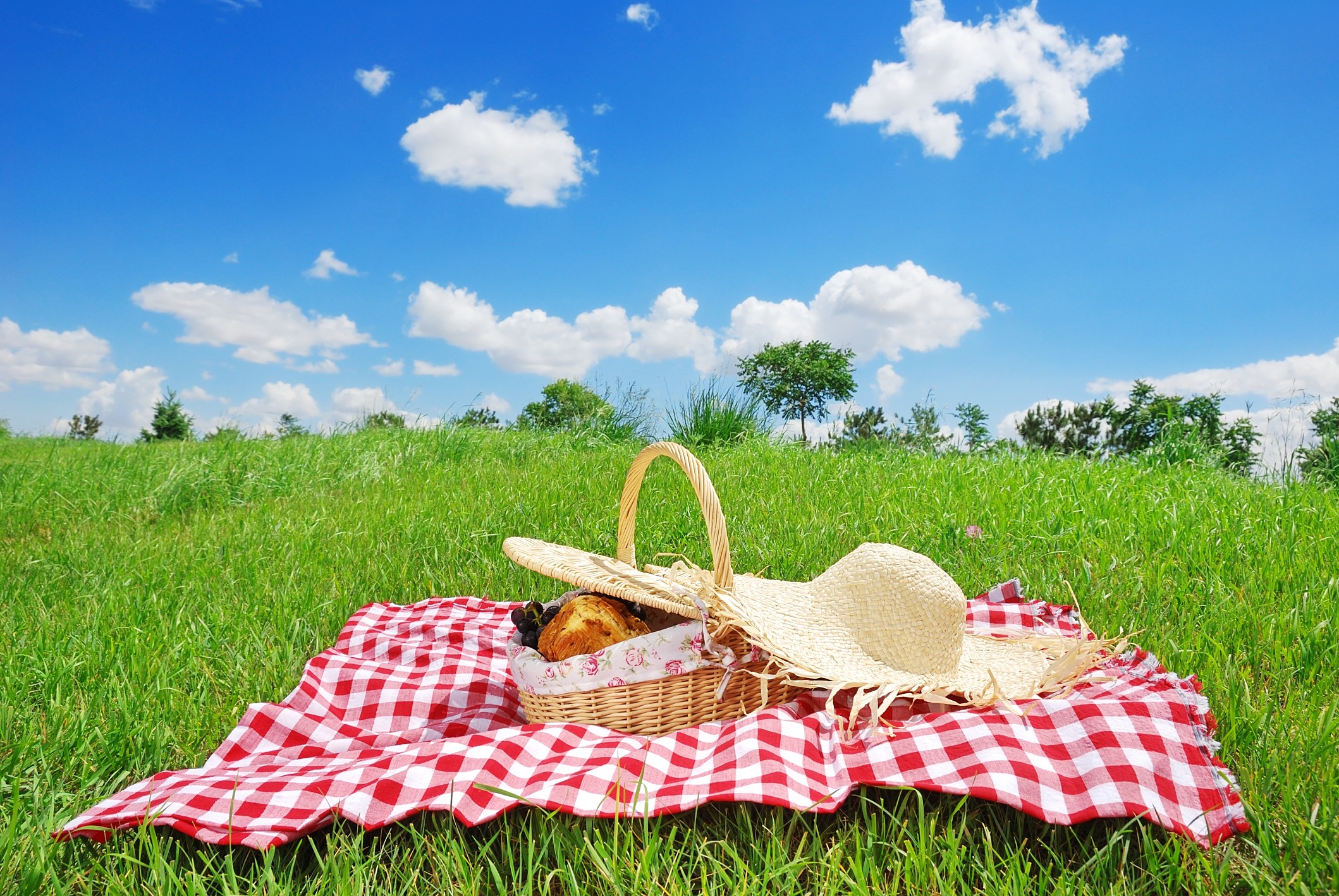 Image of Picnic on Overlook Road Westport CT