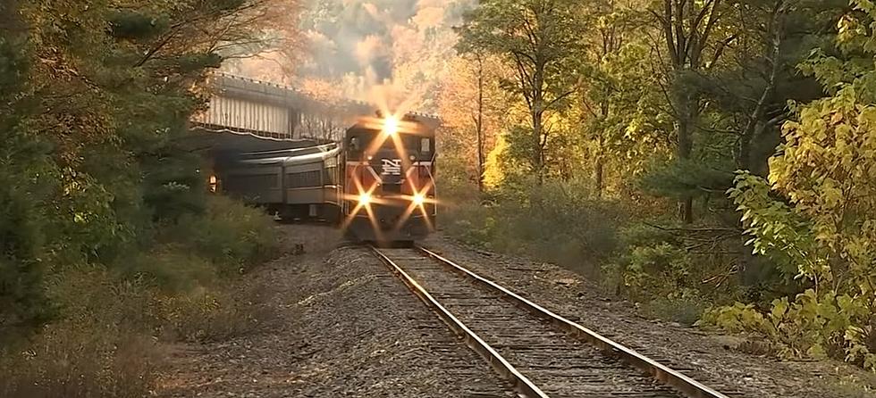 Places in Connecticut You Can Take the Train to the Pumpkin Patch