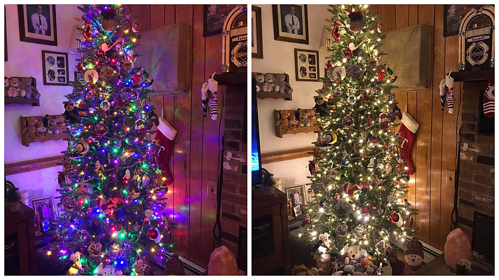 What Color Should I Keep The Lights On My Tree? Local Residents Respond