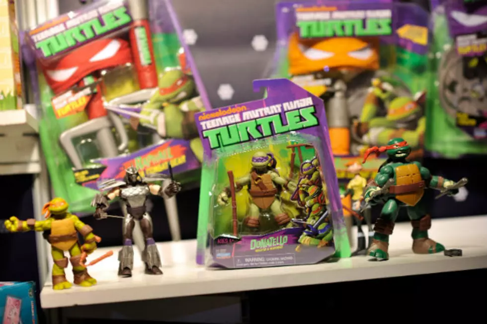 The Teenage Mutant Ninja Turtles Are Back!
