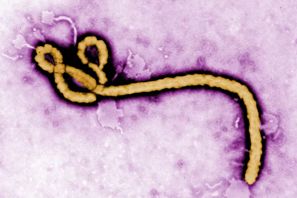 Ebola:  How It Affects The Tristates