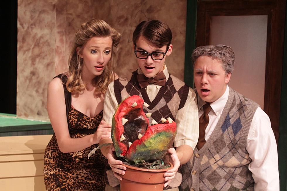 Dubuque Senior High School Presents &#8220;Little Shop Of Horrors&#8221;