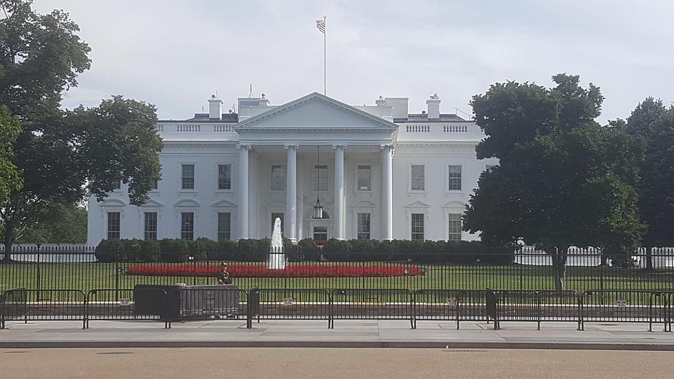 My Biggest Mistake While Visiting Washington D.C.