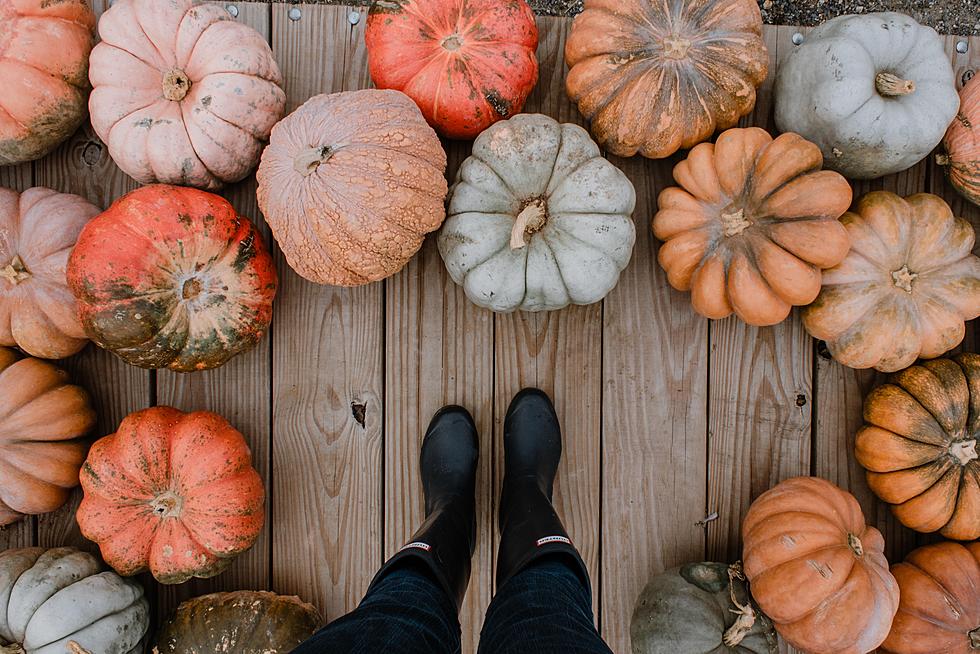 Give em ‘Pumpkin’ to Talk About – Nationwide Pumpkin Shortage Just Weeks Before Halloween