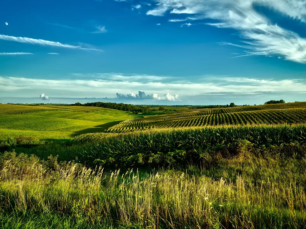 Image by David Mark from Pixabay