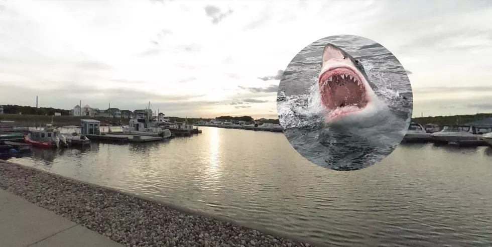 Illinois City Showing &#8220;Jaws&#8221; on the Water This Summer!