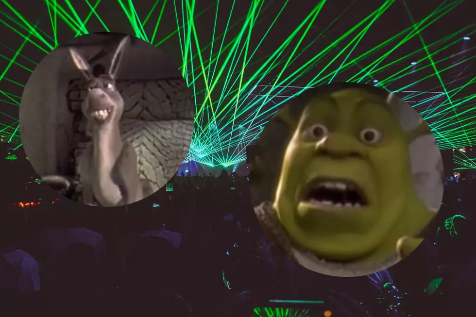 &#8220;Shrek&#8221;-Themed Rave Coming to Wisconsin in September