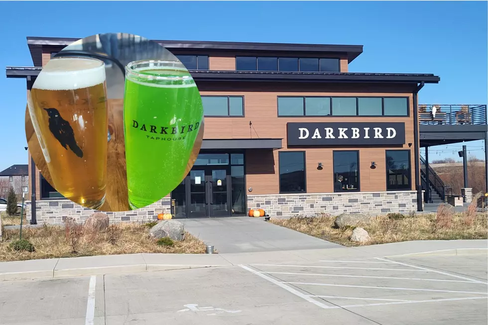 Peosta&#8217;s Darkbird Taphouse Offers Delicious Drinks and Eats