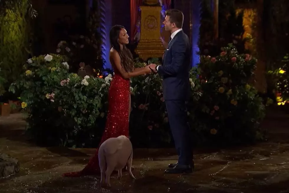 Iowa “Bachelor” Contestant Brings Pig to Season Premiere
