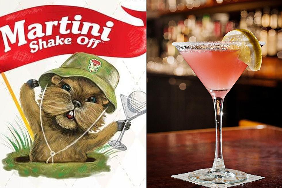 Get Ready to “Shake It Off” with HAVlife Tri-States’ Martini Shake Off