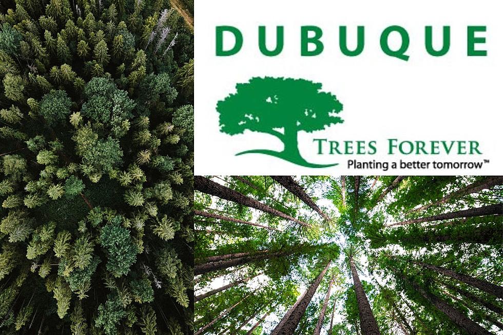 Dubuque Trees Forever Holding Arbor Day Celebration