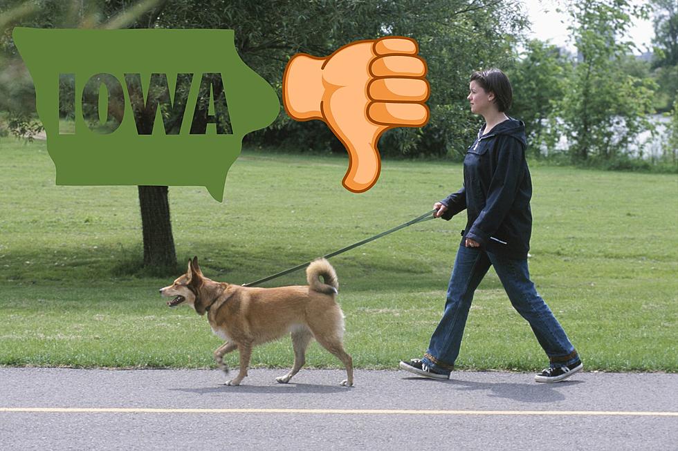 This Iowa City is One of the Worst to Walk Your Dog
