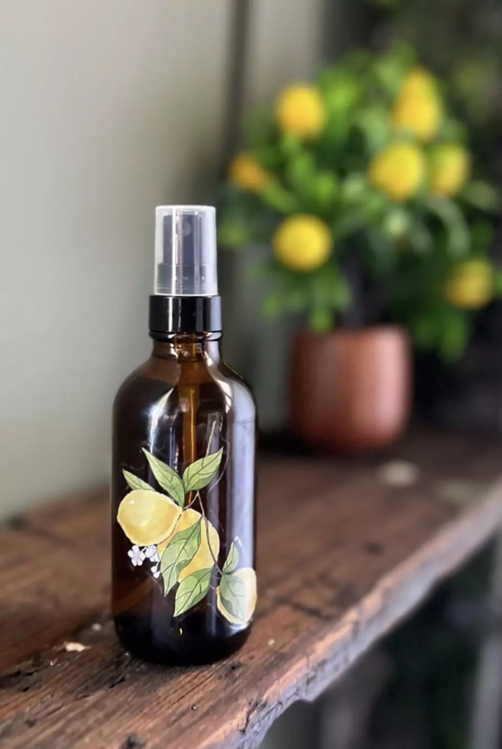 Photo Credit: Birch and Elm Naturals