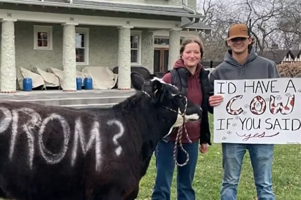 This Girl’s Iowa Prom Proposal is Nothing Short of ‘Moo-ving’