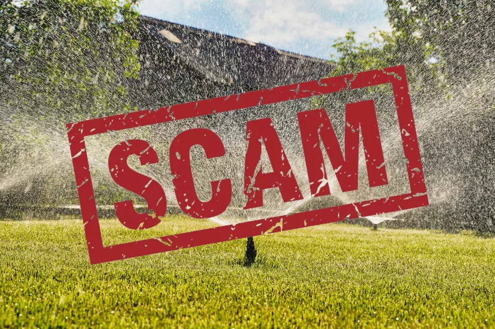 Iowans Need to Be Aware of These Lawn and Garden Scams This Spring
