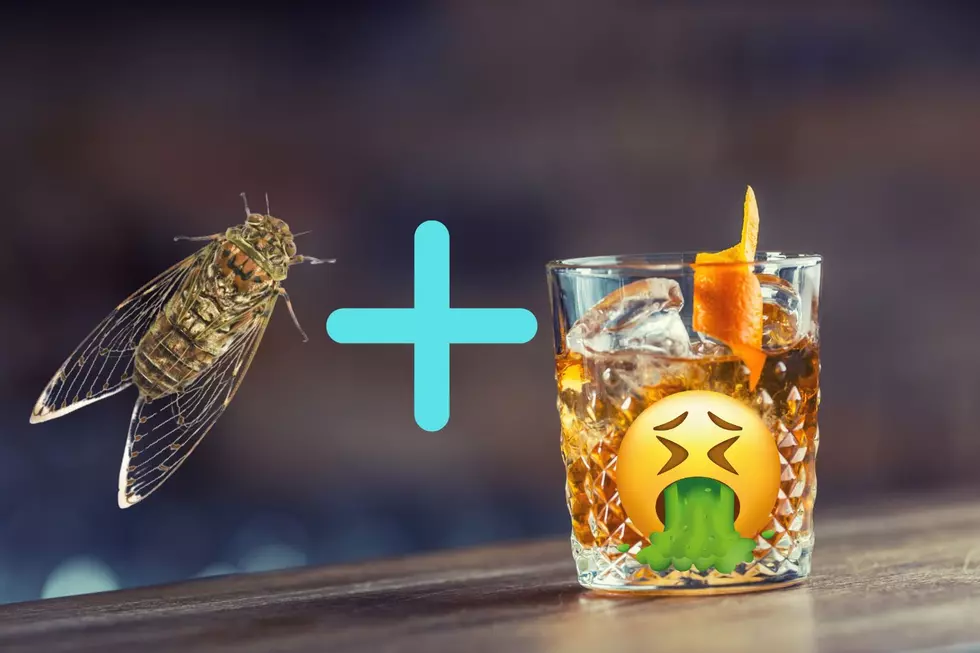 An Illinois Bar Has Officially Lost Their Mind With a Cicada Malört Shot