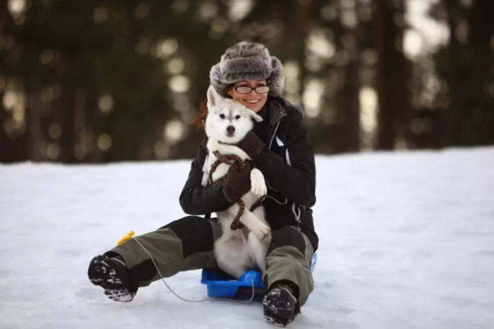 Sledding With The Dog Is Fun&#8230;Until The Dog Steals Your Sled! [Video]