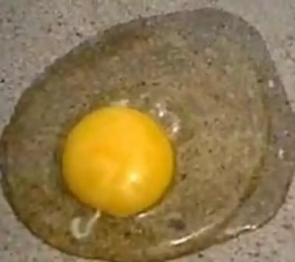 Funny Friday [VIDEO] Bonus! Can You Fry An Egg On The Sidewalk?