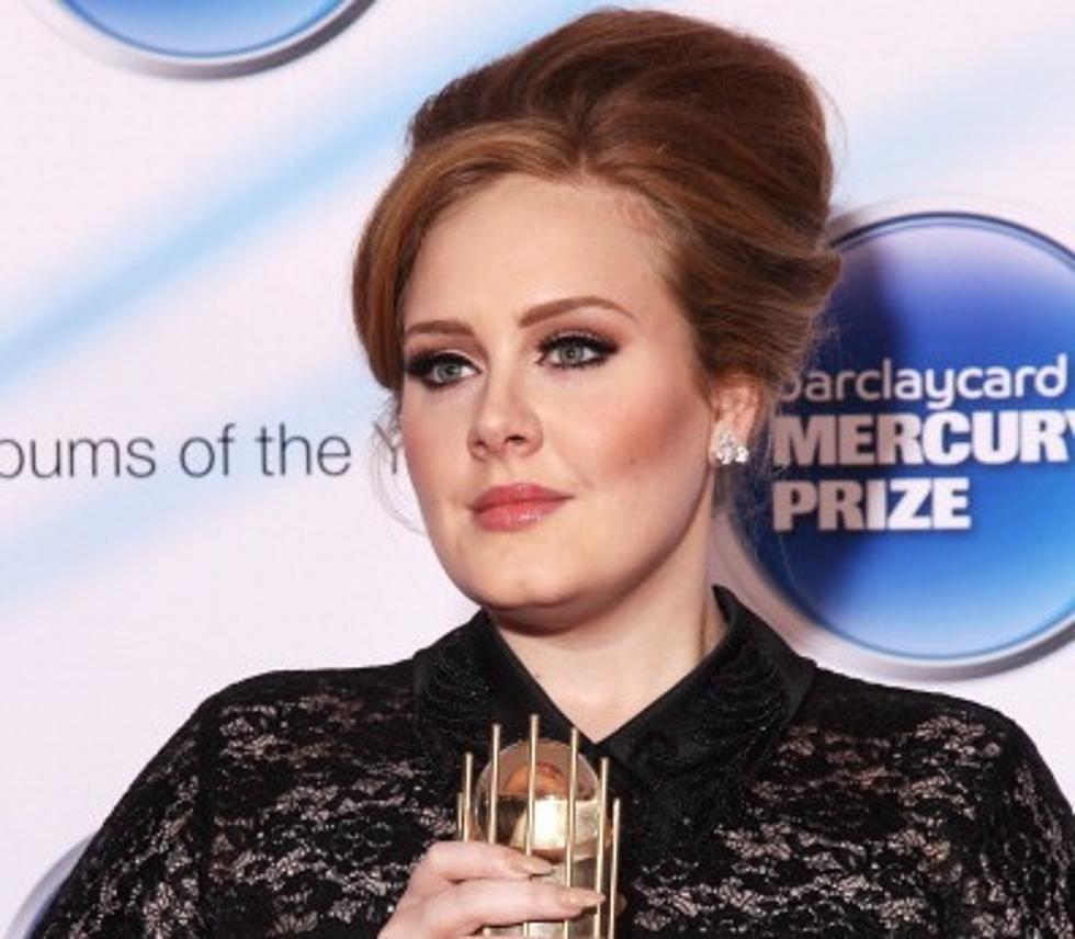 Adele Stops Show to Help Sick Fan