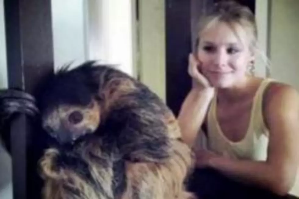 Kristen Bell Got So Excited About Seeing a Sloth that She Cried [VIDEO]