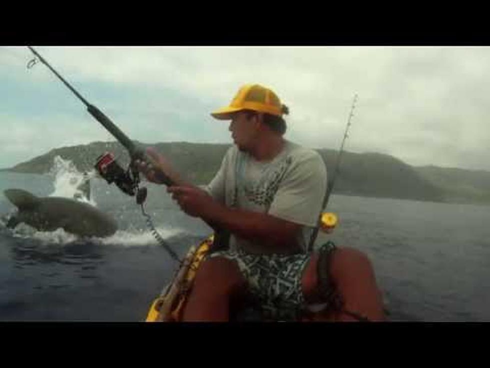 A Kayaker in Hawaii Got a Tad Too Close to a Shark [VIDEO]