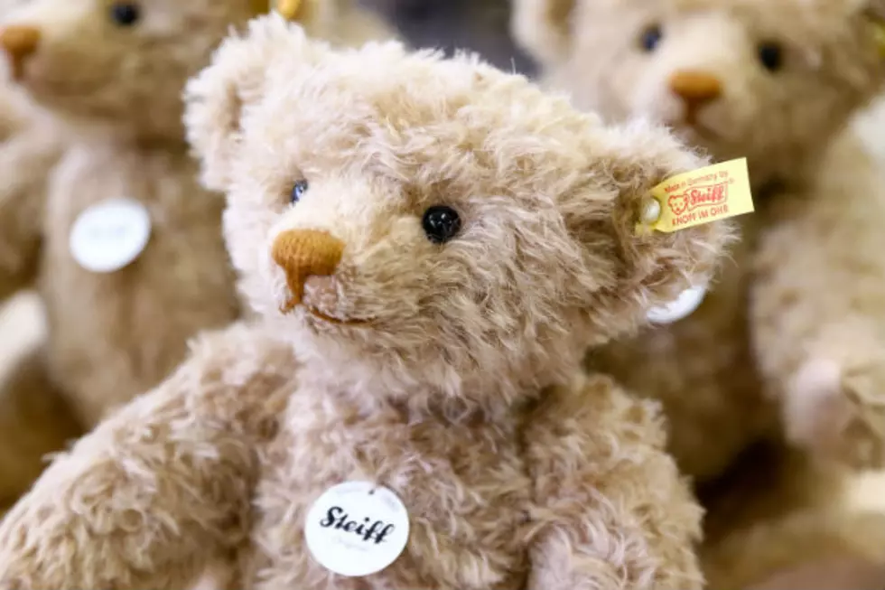 A Guy Had His Fiancee’s Childhood Teddy Bear Restored [VIDEO]