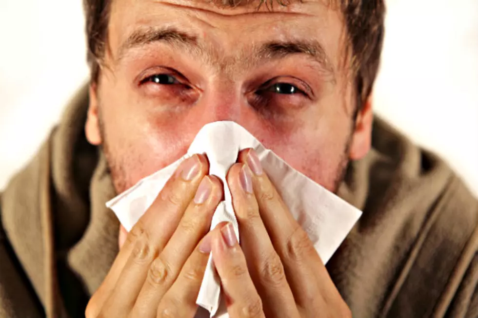 Drug Free Ways to Beat Your Allergies [Pictures]