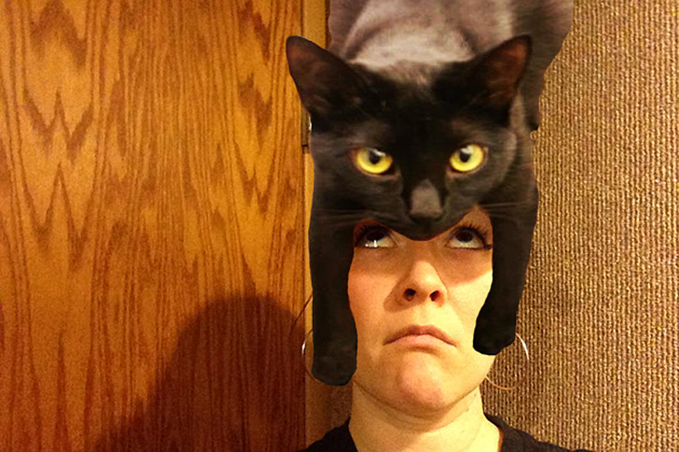 Wearing a Cat on Your Head is the New Selfie Trend