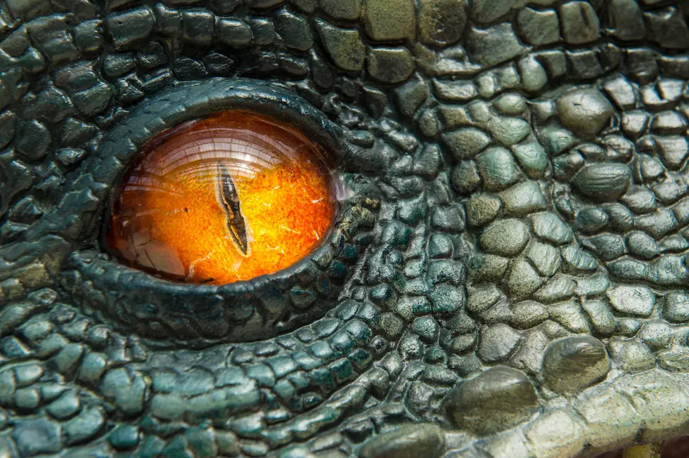 Woman Loved “Jurassic World” So Much, She Cried for 20 Minutes Straight [VIDEO]