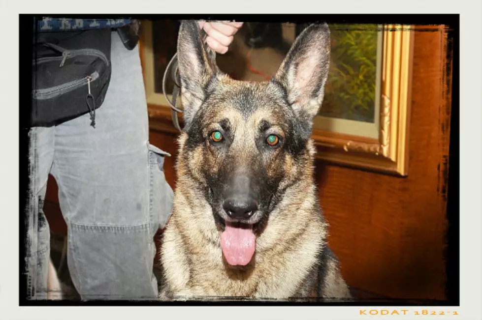 Local 411 – Waite Park K-9 Unit Fundraiser For New Dog