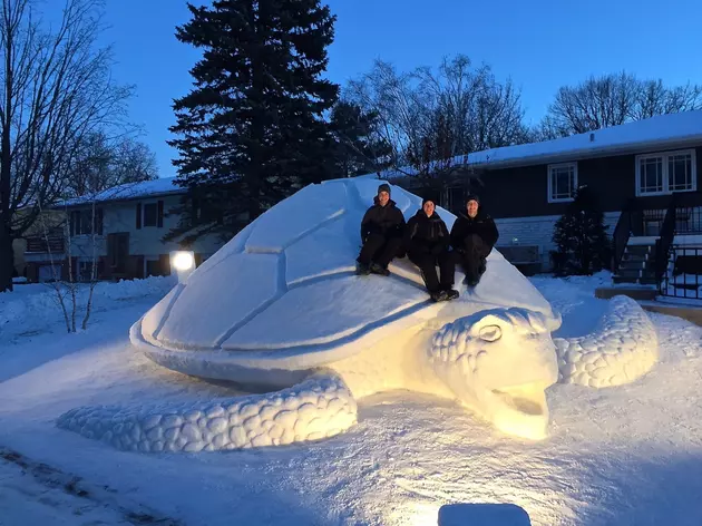 Minnesota Brothers Create Huge Snow Sculptures For Life Saving Reasons [PICS] [VIDEO]