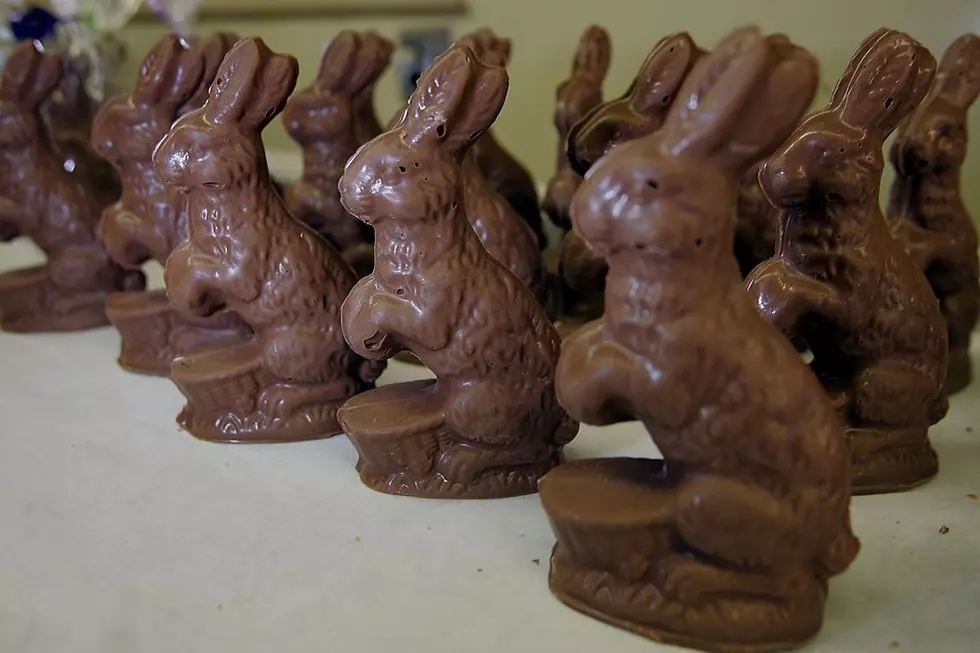 How do You Eat Your Chocolate Bunny? [Poll]