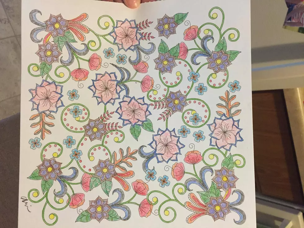 Adult Coloring Book Review