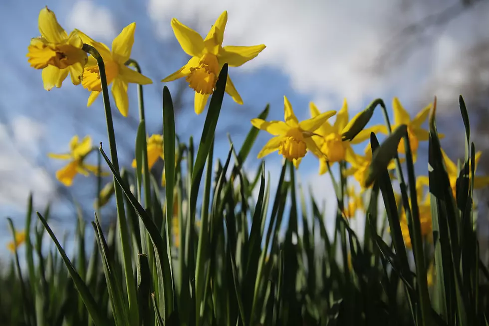 8 Signs MN Spring Is Right Around The Corner, Really!