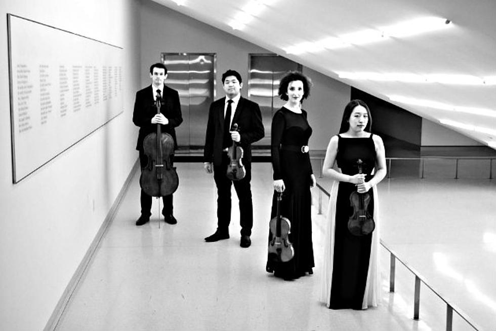 The Verona Quartet Concert, Saturday November 12th