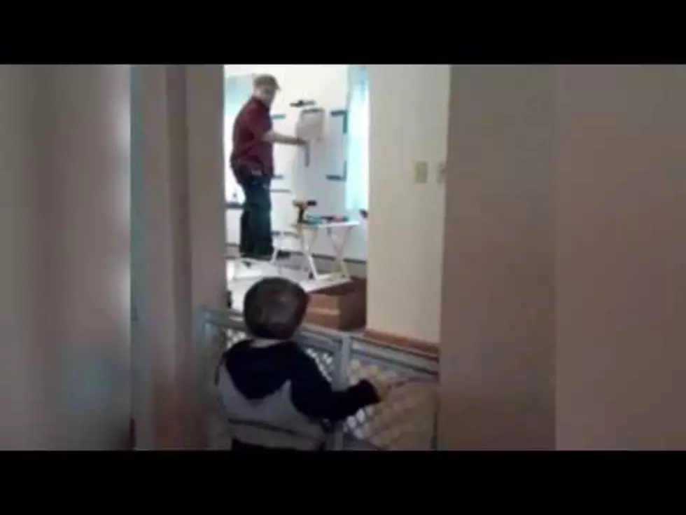 Dad Argues with His Toddler About Hanging a Shelf [VIDEO]