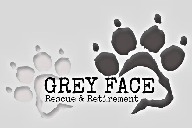 Make &#038; Eat Chili While Supporting Grey Face Rescue