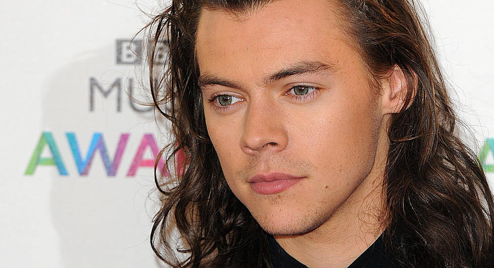 There is No Way One Direction Will Get Back Together – Hear Harry Styles New Song!