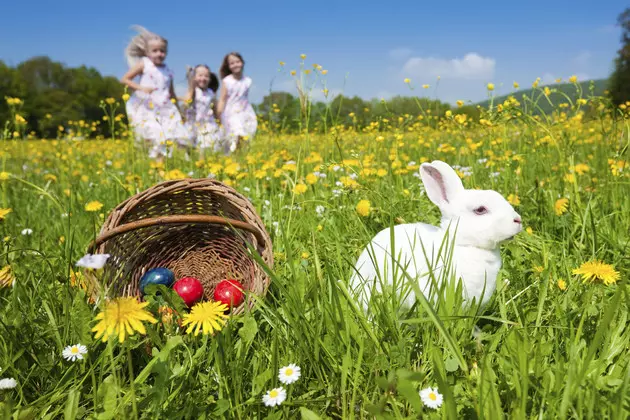 Easter Egg Hunts Around Central Minnesota