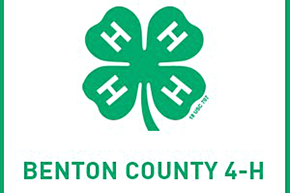 CENTRAL MINNESOTA CAMPS FOR KIDS:  PART 10: Benton County 4H Day Camps