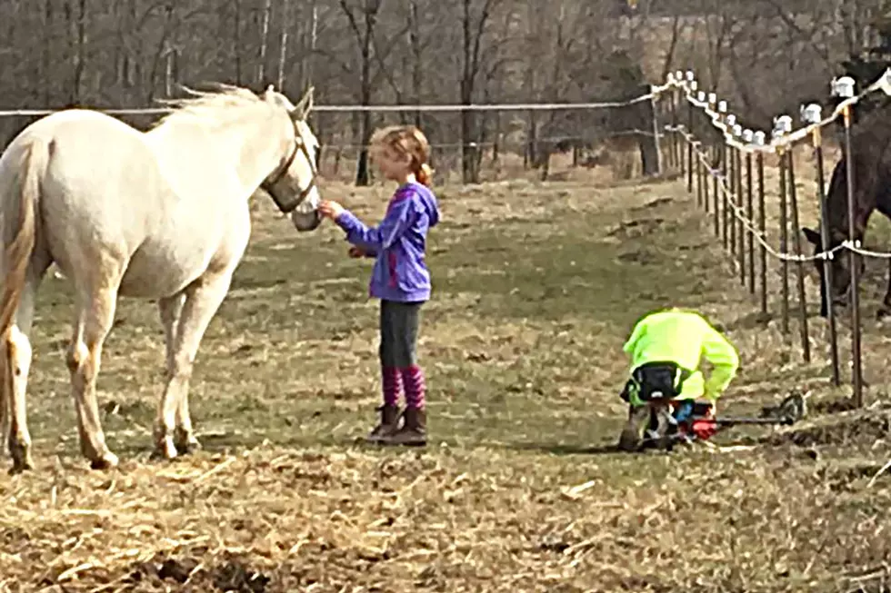 CENTRAL MINNESOTA CAMPS FOR KIDS: PART 9: Fieldstone Farm – All About Horses Day Camp