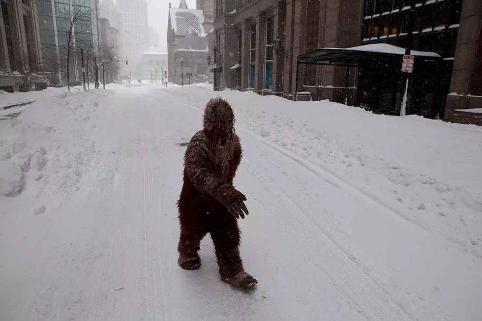 Minnesota Sasquatch Sighting Near Northern St. Louis County