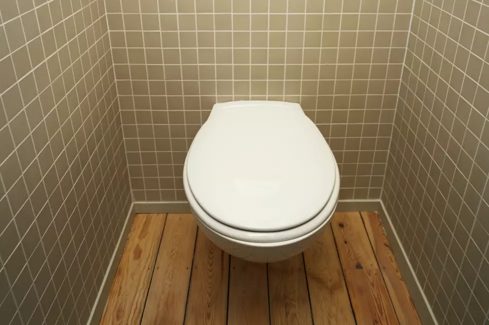 Why Adam's Afraid of Toilet Seats and Other Irrational Fears