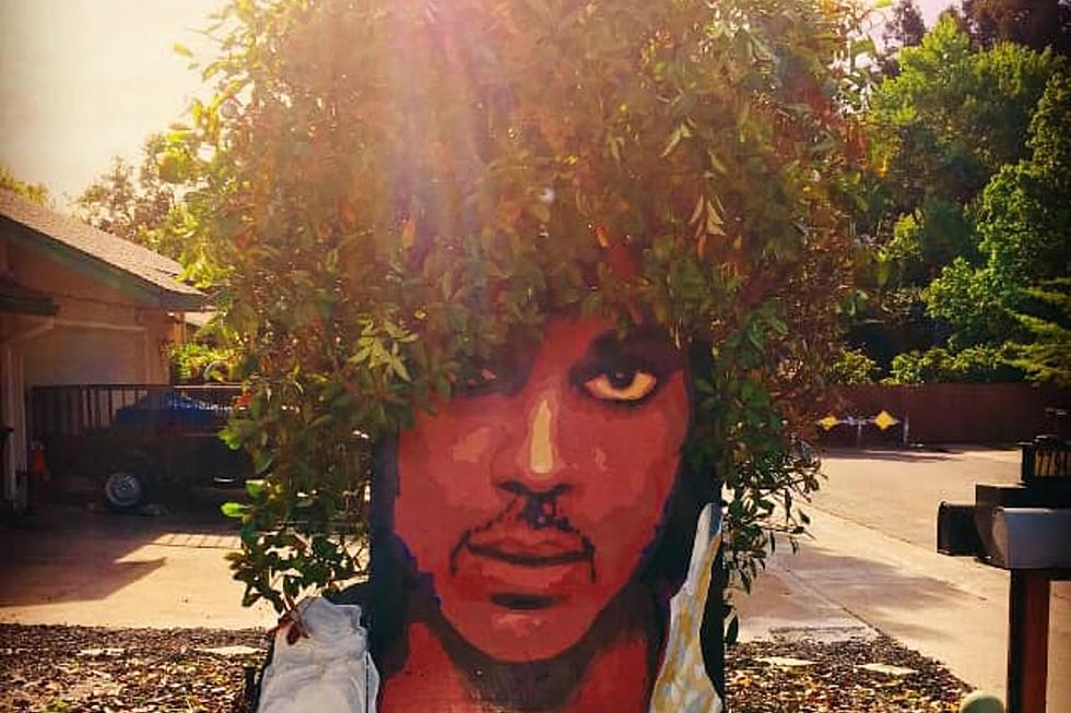 [PHOTO] Cali Artist Turns Tree Into Prince Mural