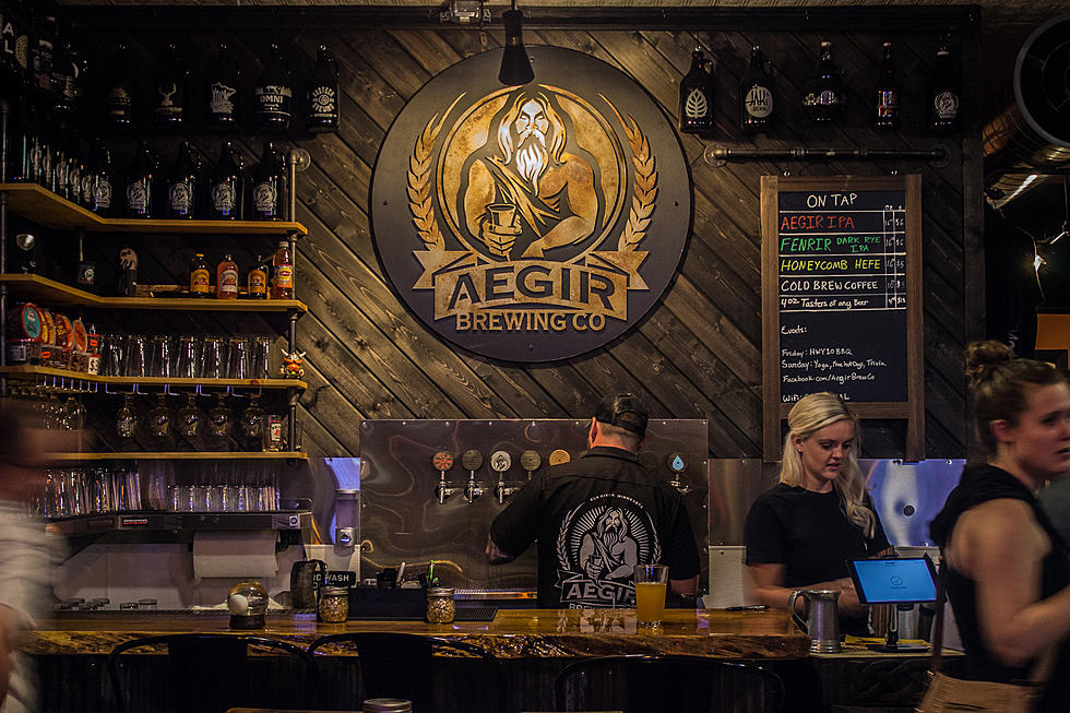 WATCH: Elk River's Aegir Brewing Co. Featured on WCCO