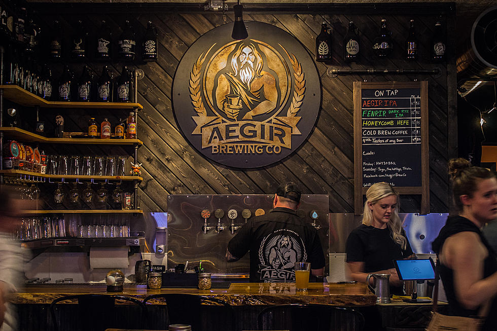 WATCH: Elk River&#8217;s Aegir Brewing Co. Featured on WCCO