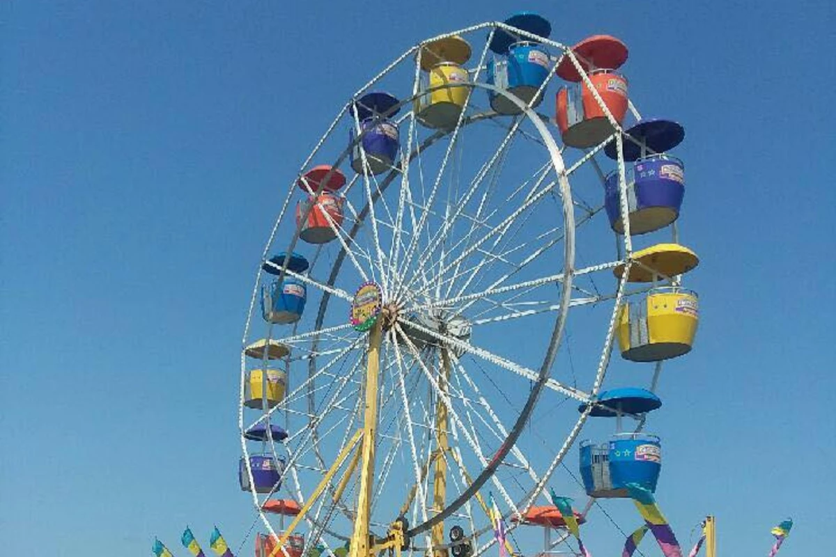 Your Guide to the Morrison County Fair August 310