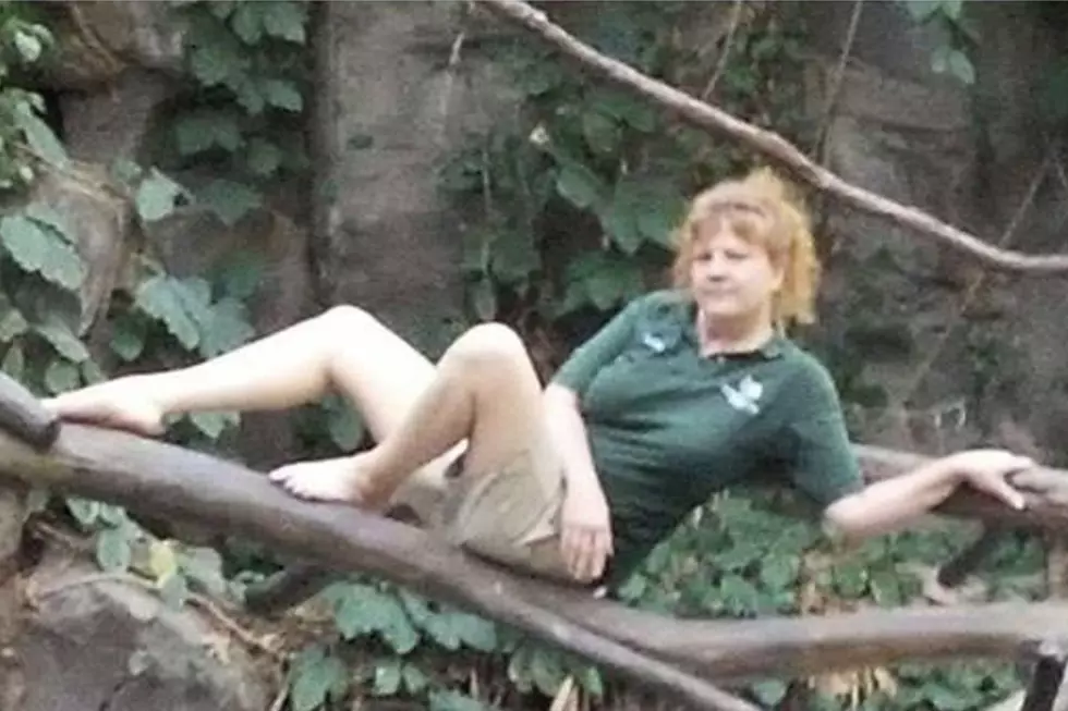 Hilarious Photos Show What MN Zoo Keepers do with Too Much Time