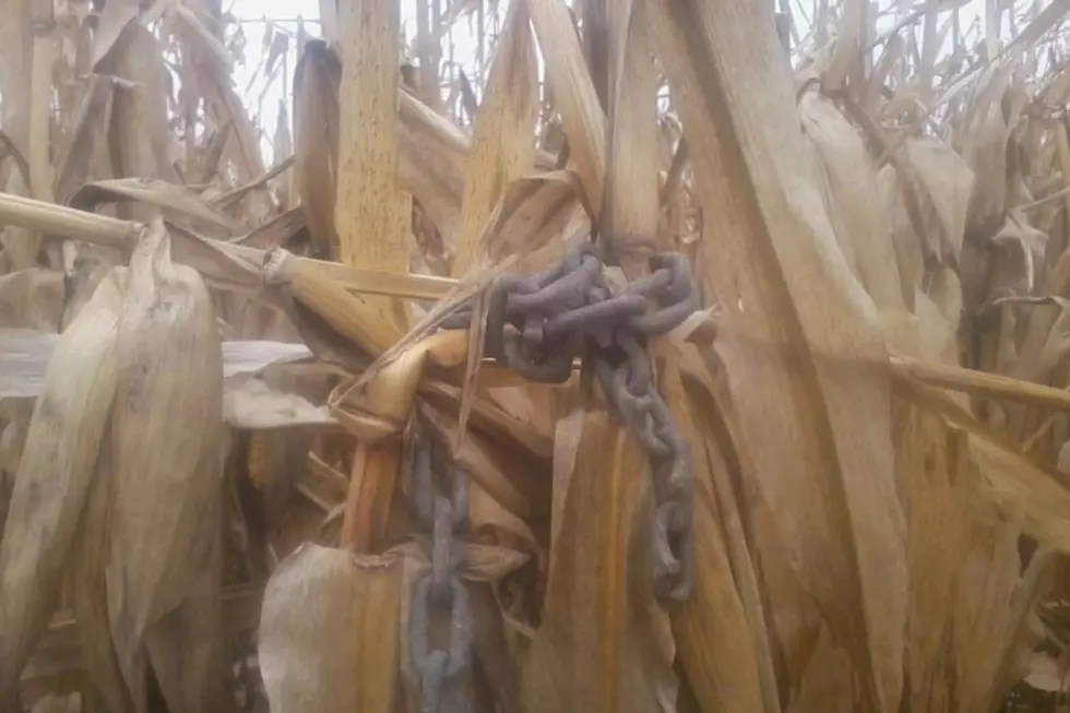 Somebody Booby-Trapped a MN Farmer's Field, Could Be More