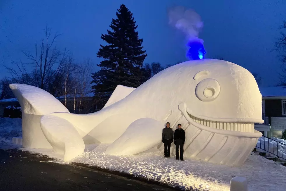 Meet Walvis — This Year’s Massive Bartz Brother’s Snow Sculpture